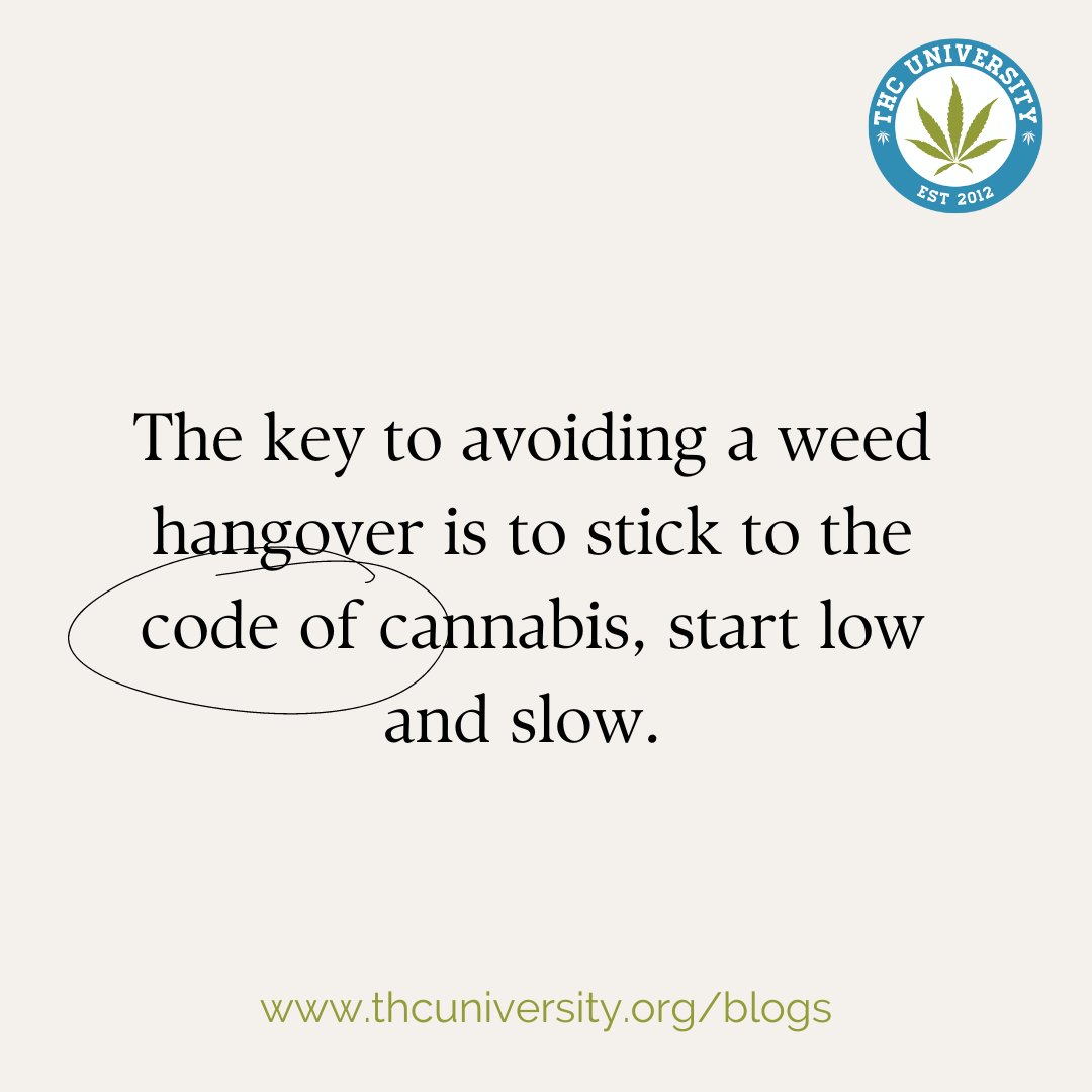 THC University tweet media