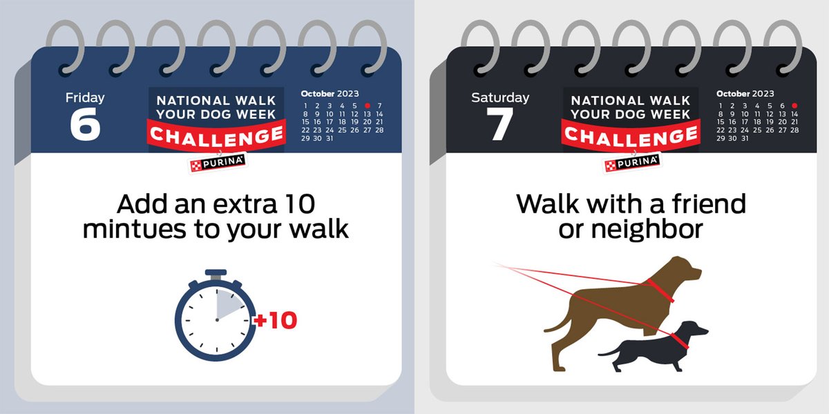 Ready to celebrate #NationalWalkYourDogWeek? We’ve got a seven days of challenges to inspire you and your dog’s next session of walkies.