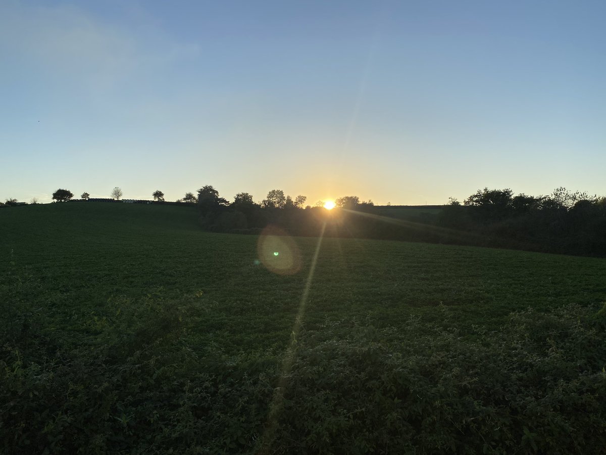 Cédric Gil-Jardiné tweet media