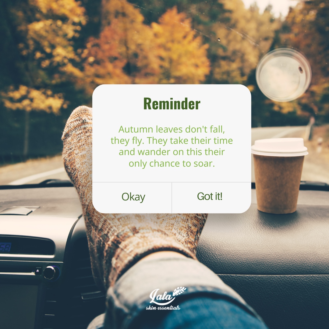 "Fall shows us how beautiful it is to let things go."🍂🍁

#LalaTribe #LalaSkinEssentials