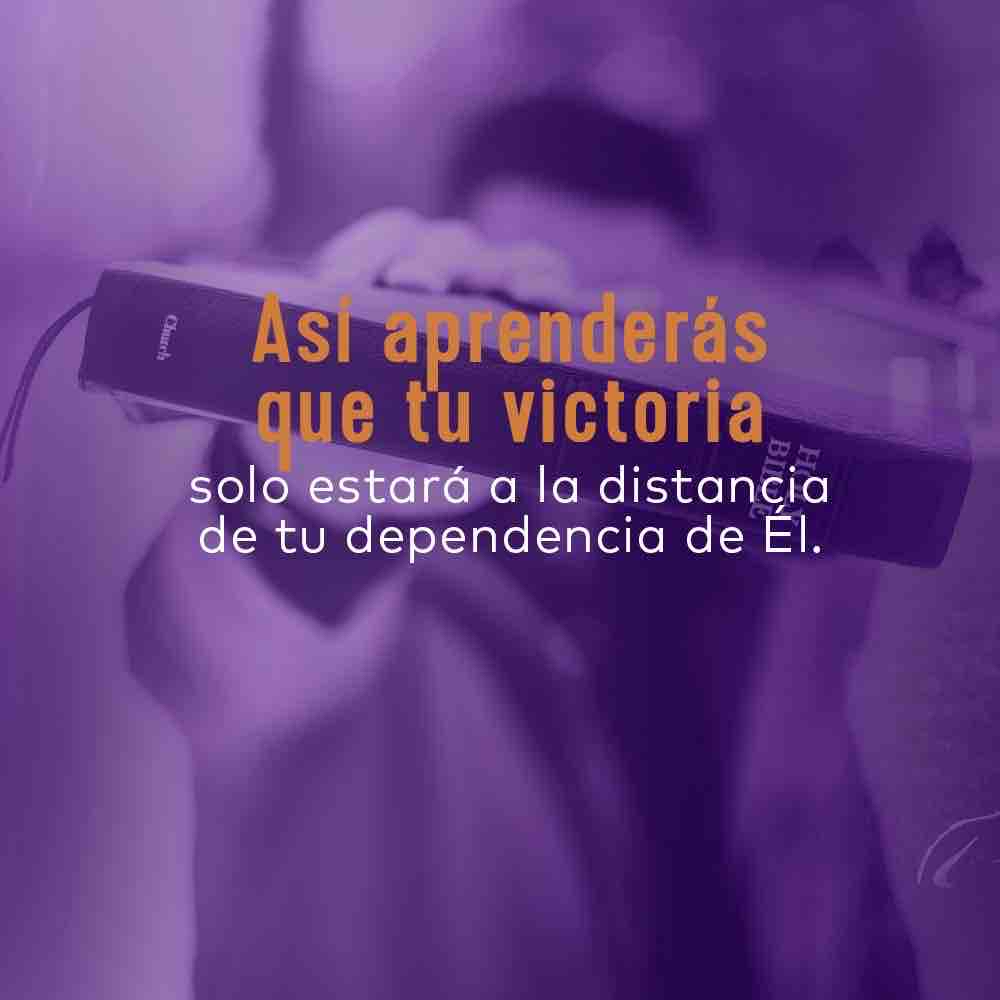 enlacetv's tweet photo. Dios no te pedirá permiso para empujarte hacia lo desconocido y colocarte en lugares nunca antes explorados para impulsarte a ensancharte para su gloria. Creerás que no puedes, pero Dios sabe que si, porque El te creó. - Mira esta enseñanza completa por #enlaceplus https://t.co/9H8ipGYFLM