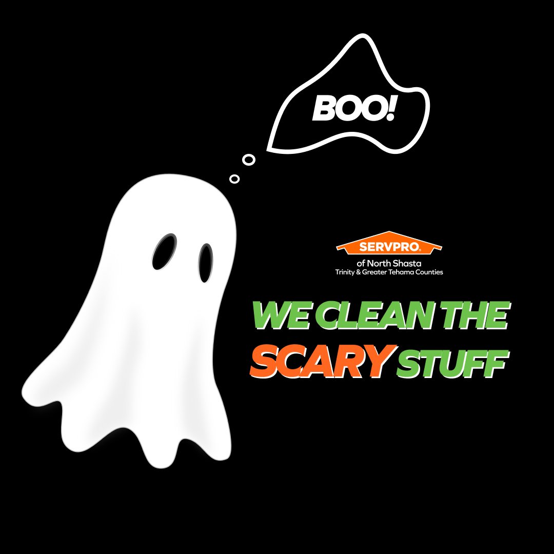 N_ShastaServpro's tweet image. We clean up all the "scary stuff" you don't want to touch, and that's no joke. From biohazards to hazardous materials, our experienced team is here for you. 💪

Don't be afraid of the unknown, we have the know-how to clean it up! 🧹 #WeCleanTheScaryStuff #Biohazard #CleanItUp