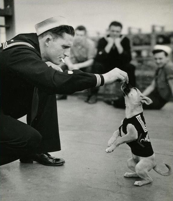 NavalInstitute's tweet photo. When you support the Naval Institute, you’re not only supporting the future, but preserving the past by helping us maintain our unique #archives and more. Sustain #NavalHistory – join today. https://t.co/X3pq7NaSuN #SupportTheFuture #PreserveThePast #KeepThePastAlive https://t.co/g7rJRWUT86
