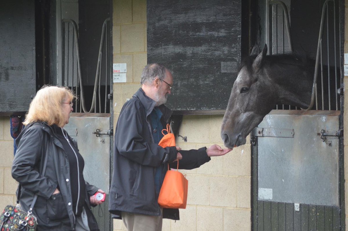 oneill_racing tweet picture