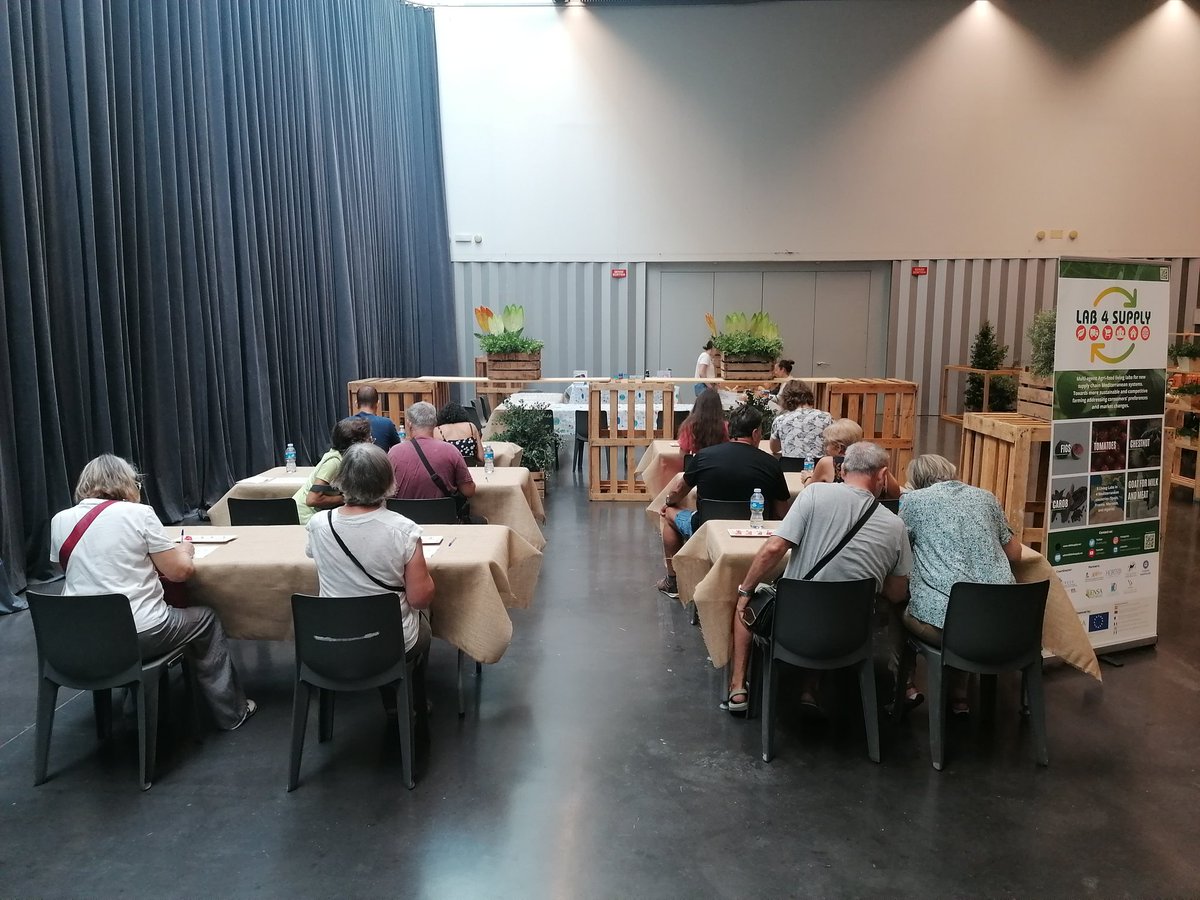 ZEINONE's tweet photo. Incredible experience within 1st tomatoes festival of #viladecans @ViladecansTweet @Ametllerorigen. 230 citizens from all ages and genders participated in our @Lab4Supply workshop @PrimaProgram. Tasting tomatoes from short food supply chain. How information affect acceptance? https://t.co/7msruMuHwP