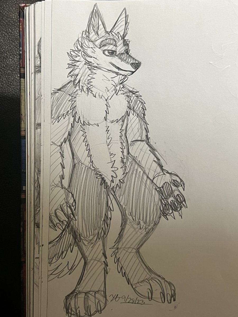 ACreativeDerg's tweet image. That’s “Sketchy” ✏️  #wolfplushie concept! ✨
