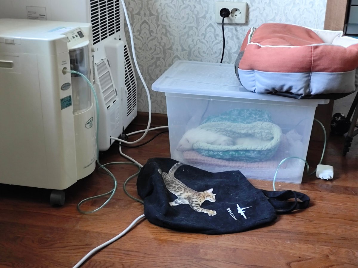 @ọzkriff tweet media