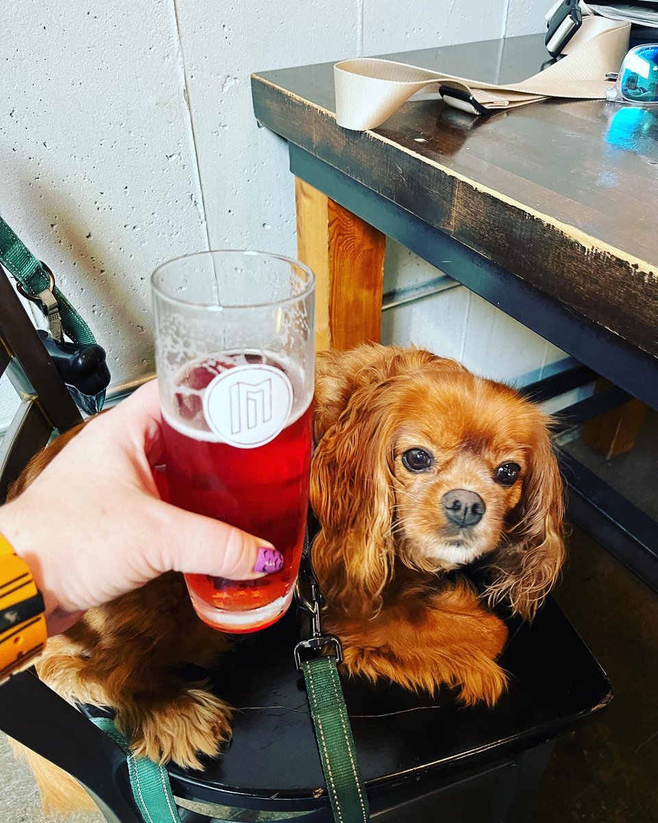 Wendy Fossum tweet media