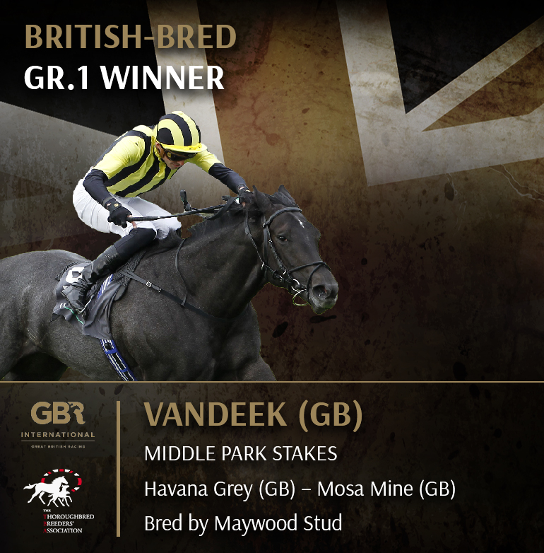 ✨ Invest In The Best ✨

VANDEEK (GB) wins the Gr.1 Middle Park Stakes <a href="/NewmarketRace/">Newmarket Racecourse</a> for owner KHK Racing!

Bred in Britain ✅ <a href="/maywoodstud/">Kelly Thomas</a>
By a British stallion ✅ HAVANA GREY (GB) <a href="/WhitsburyManor/">Whitsbury Manor Stud</a>
Sold in Britain ✅  <a href="/Tattersalls1766/">Tattersalls</a>
Trained in Britain ✅ <a href="/gainsboroughHQ/">Gainsborough Thoroughbreds</a>