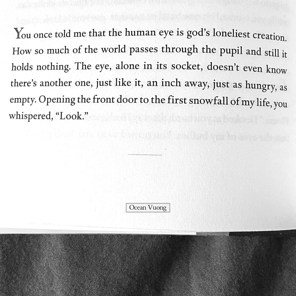 TalkBigNotSmall's tweet photo. From Ocean Vuong's book, On Earth We're Briefly Gorgeous. Via @BowlLit https://t.co/dMoVMVXwB8