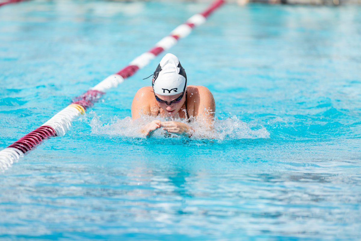 FLTechAthletics's tweet photo. Debuts Send Women's Swimming To Season Opening Victory

📰https://t.co/Xb1qudWsNz

#GoPanthers https://t.co/TlPXEAwTbQ