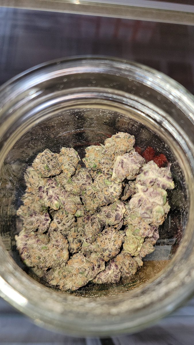 mcintyre_jerid's tweet photo. @WeedPorns Some super boof for you. #pacificcity #oregon #greenridge #greenridgepc #oregoncoast #weedporn #Marijuana https://t.co/hflurRDml0