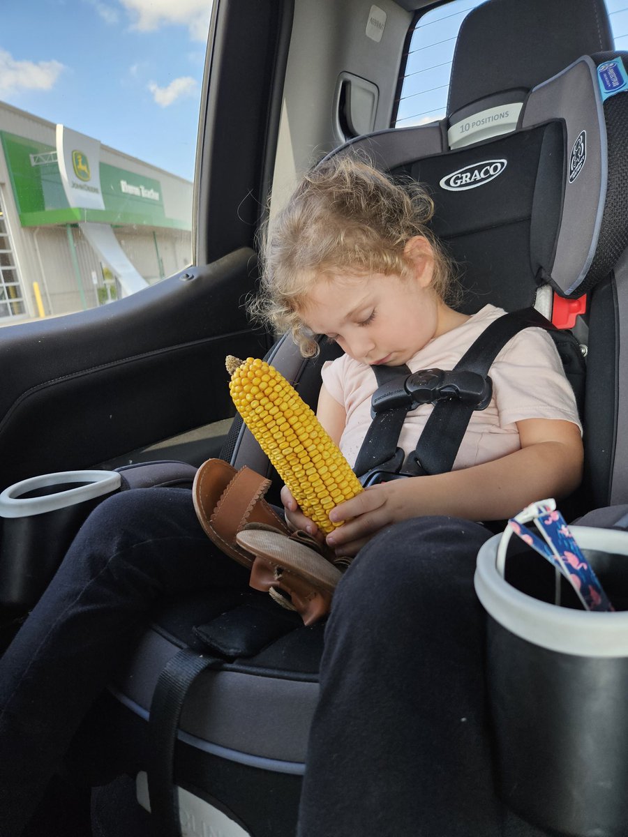 tractor_fondler's tweet photo. Dreaming of big bushels @DEKALB_Canada @bbearss71 https://t.co/sHYwLG7fKz