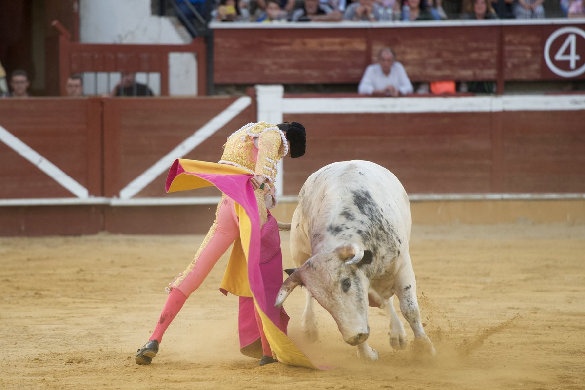 @TristanBarroso_ ⭐️ SORIA ⭐️ Silencio para @TristanBarroso_ en el sexto de la tarde, que perdió la puerta grande por el acero.