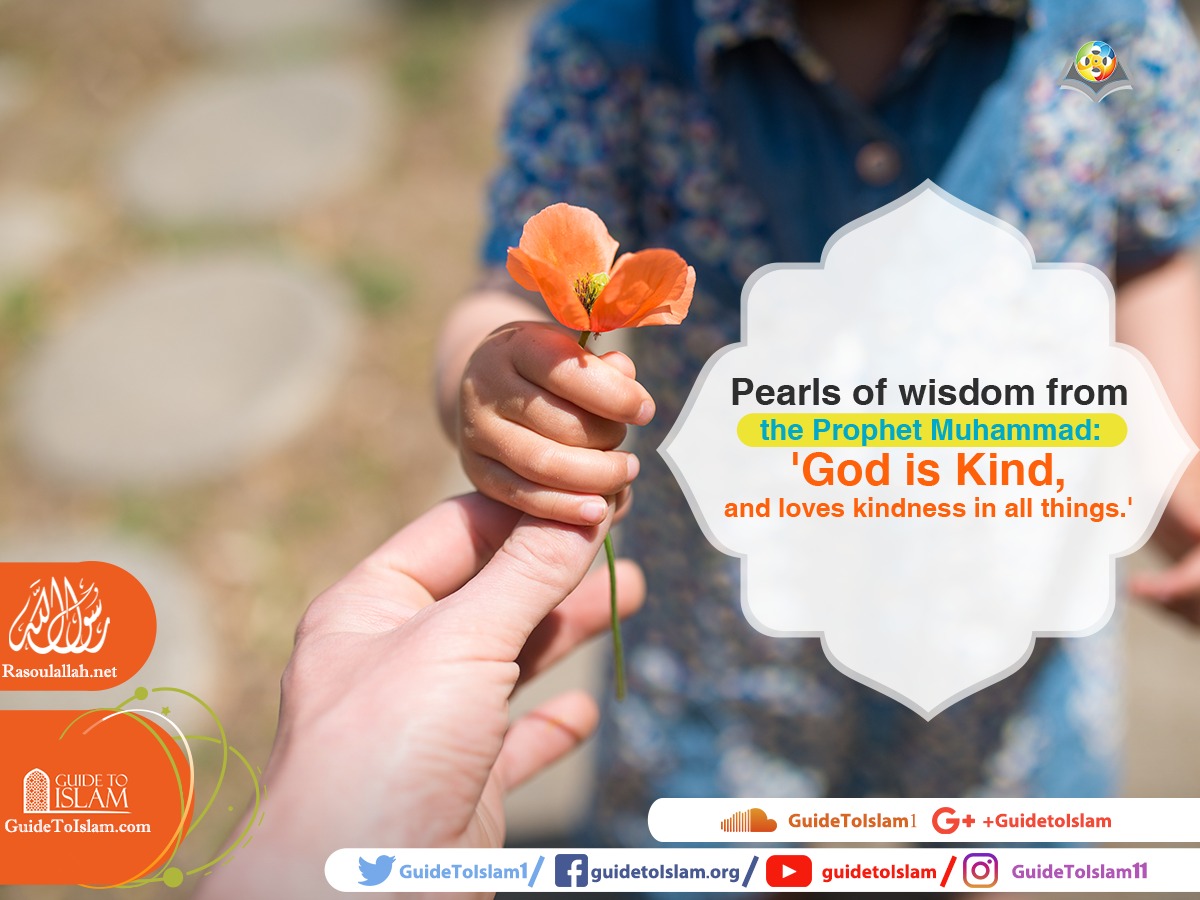 GuideToIslam1's tweet photo. Pearls of wisdom from the #Prophet_Muhammad: '#God is Kind, and loves kindness in all things.'

#GuidetoIslam https://t.co/IKrPTMna7E