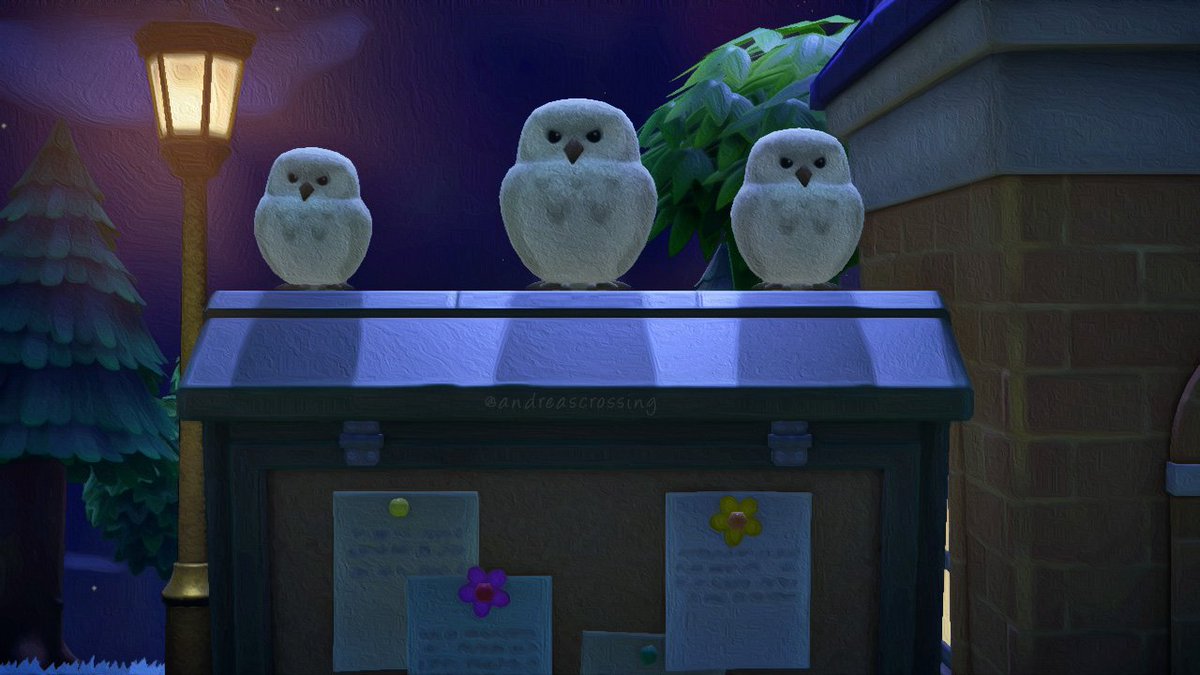 AndreasCrossin9's tweet photo. Bulletin board owls!
Did you know that if you don't check your board you can get up to 3 of them? 🦉🤍

#animalcrossing #ACNH #animalcrossingnewhorizons #newhorizons #acnhcommunity #animalcrossingcommunity #animalcrossingaddict #acnhaddict #acnhtwt https://t.co/JjMpGXZQAH