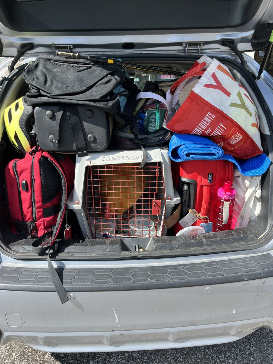 Rookwood Ladies tweet media