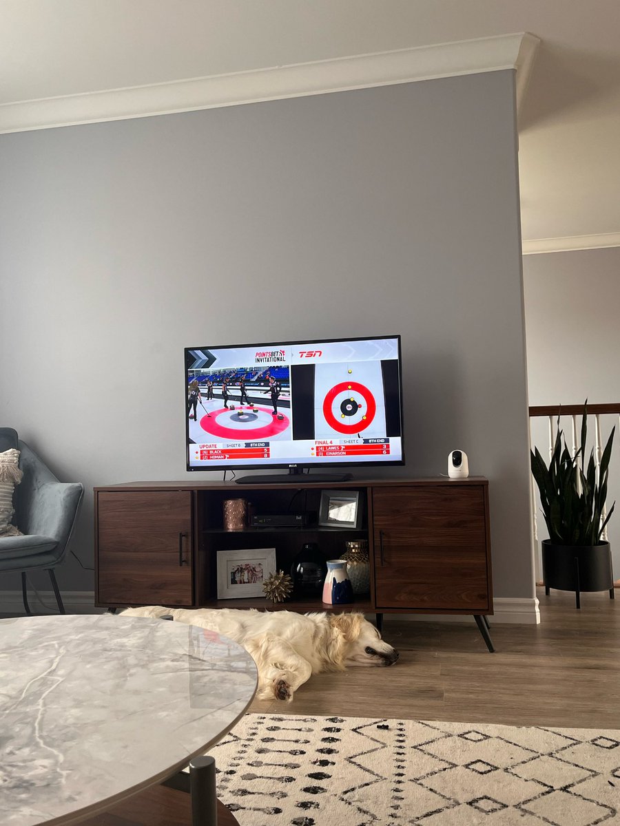maceachen's tweet photo. Lazy Saturday 🥌🐾 #curling #hangoverpals https://t.co/N9mc7YoQRR