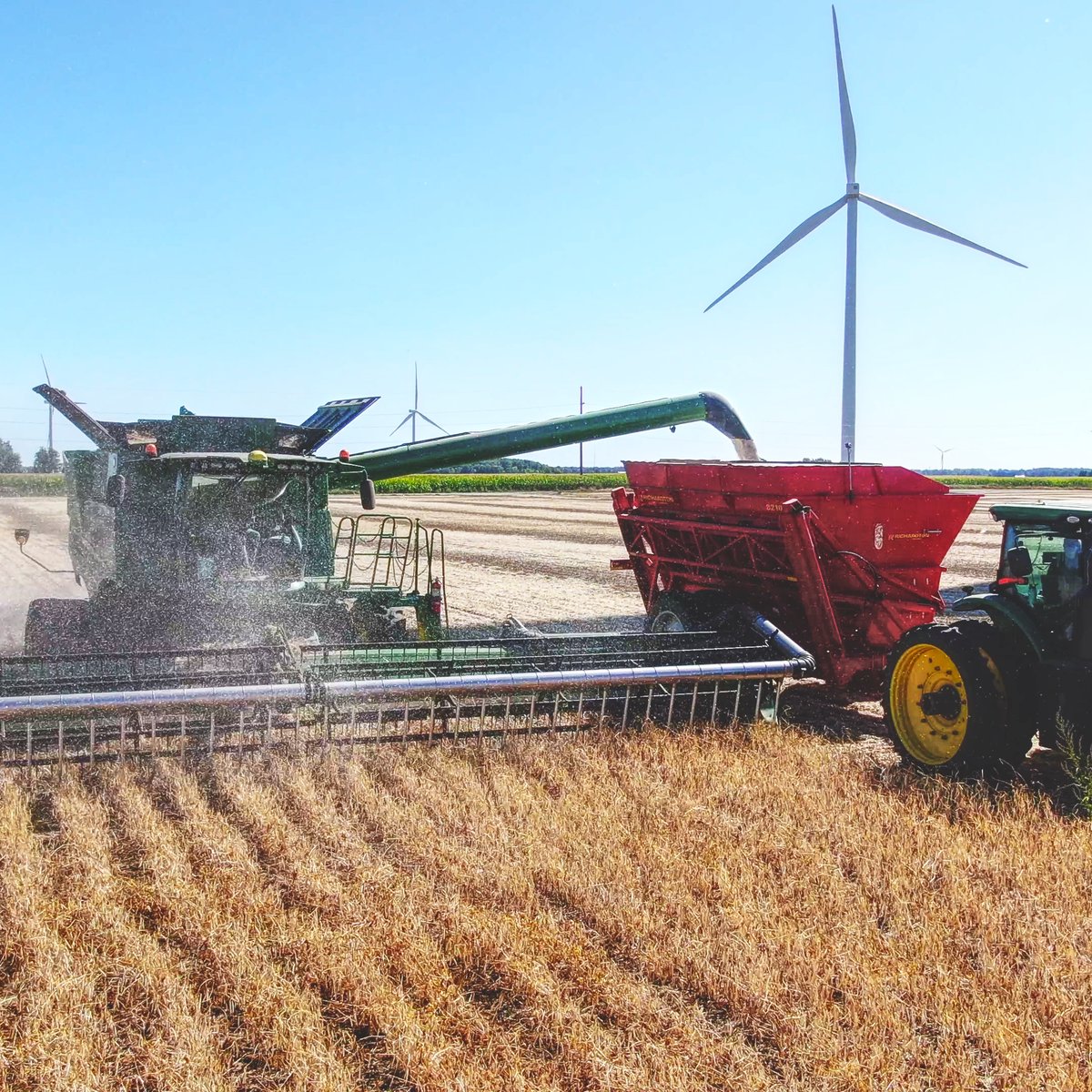 CamelliaBeans's tweet photo. We've been serious about quality since day one, so much so that our growers named a category after us above the top USDA grade! Read about the "Hayward Standard": https://t.co/0l7aPj28TB
#CamelliaBrand #BeansDoneRight https://t.co/GHI12MTH3Z