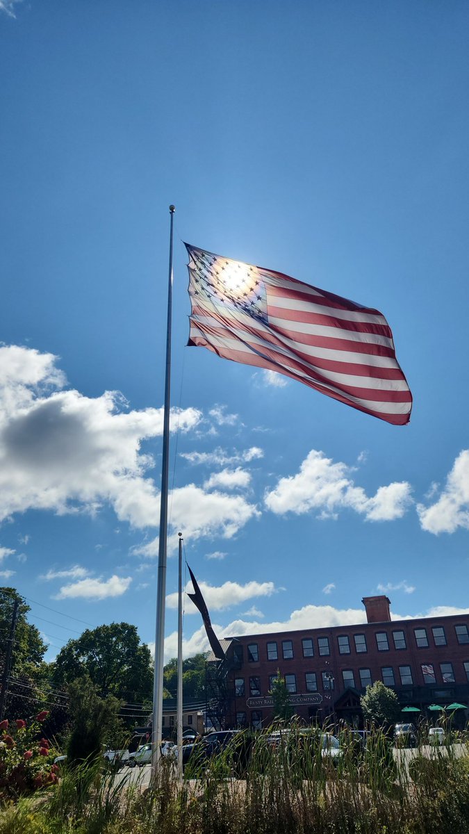 🇺🇲Shall not be infringed🇺🇲 tweet media