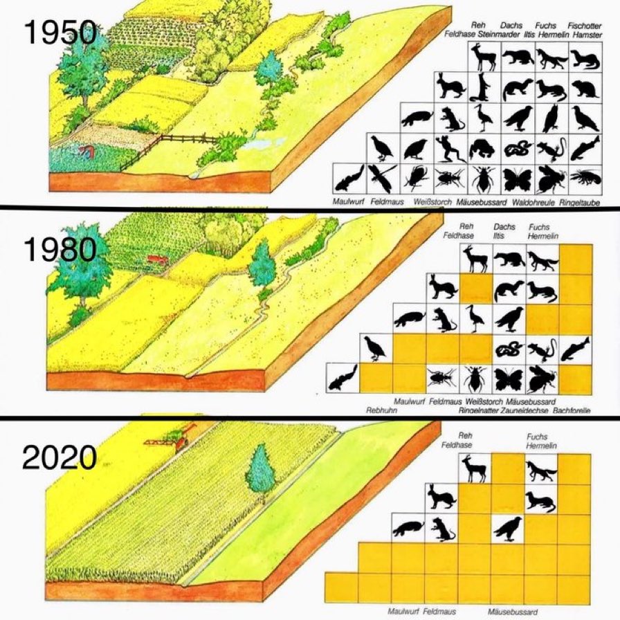 Caring Doctors tweet media