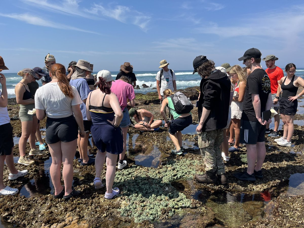 Louise_Firth_IE's tweet photo. @benthicecol @MBERC_PlymUni @PlymUni @nicola_foster @Thalia_Melina Day 5 - Round robin activities on the shore at #MissionRocks. @nicola_foster teaching about #Cnidarians. Mini coral reefs in pools πͺΈπ ππ€©. Christmas tree worms π²πͺ± https://t.co/kBw3VwjKvu