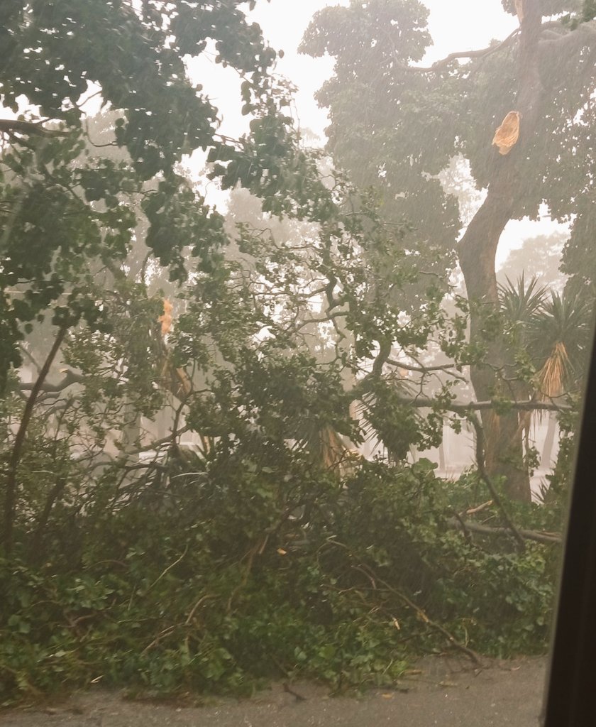 Olvídate de la Cancha de Tenis... de La Paz, borrada quedo por la caída masiva de varios árboles 
los vientos fuerte y la falta de mantenimiento acabaron con todo en la Urb. La Paz en El Paraíso, Caracas, Avenida O'Higgins
Verificado con: <a href="/ecorina/">Ecosistemas Renovables: Investigación y Acción</a>
#Lluvias 
#GolpeDeEstado