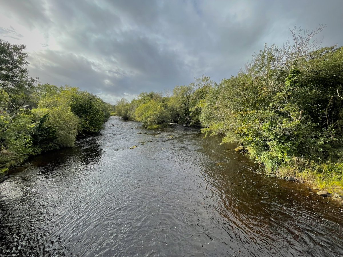 The 2023 fishing season has drawn to a close. Thanks to all those who wetted a line at the fishery this year. The season was marked by extremes of both drought and flood and poor runs, especially of grilse. The 2022 salmon statistics are available here fisheriesireland.ie/sites/default/…