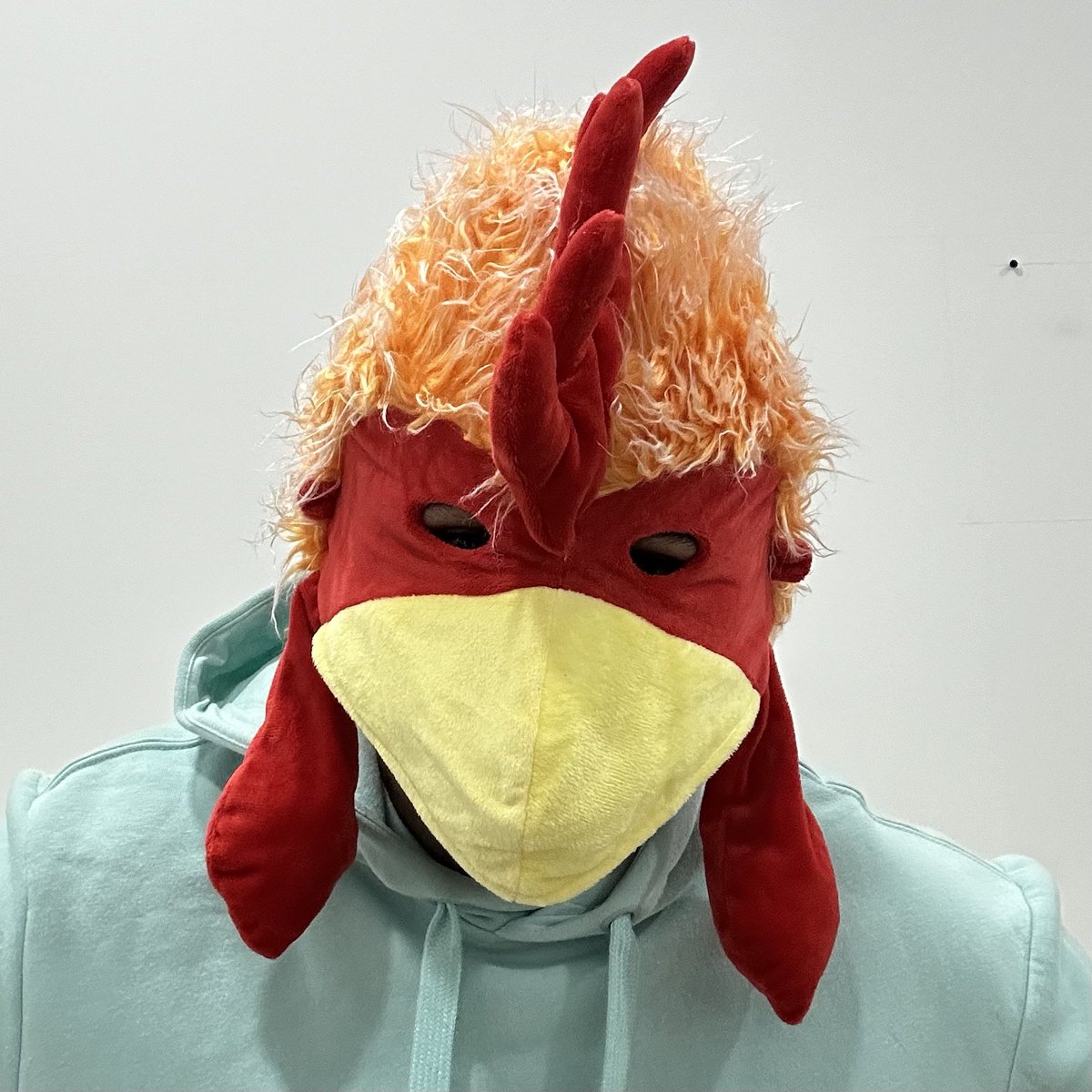 PolloFrito tweet media