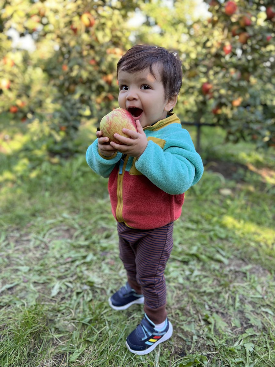 VinGuptaMD's tweet image. An apple a day keeps the doctors away.

But you still need to get vaccinated.