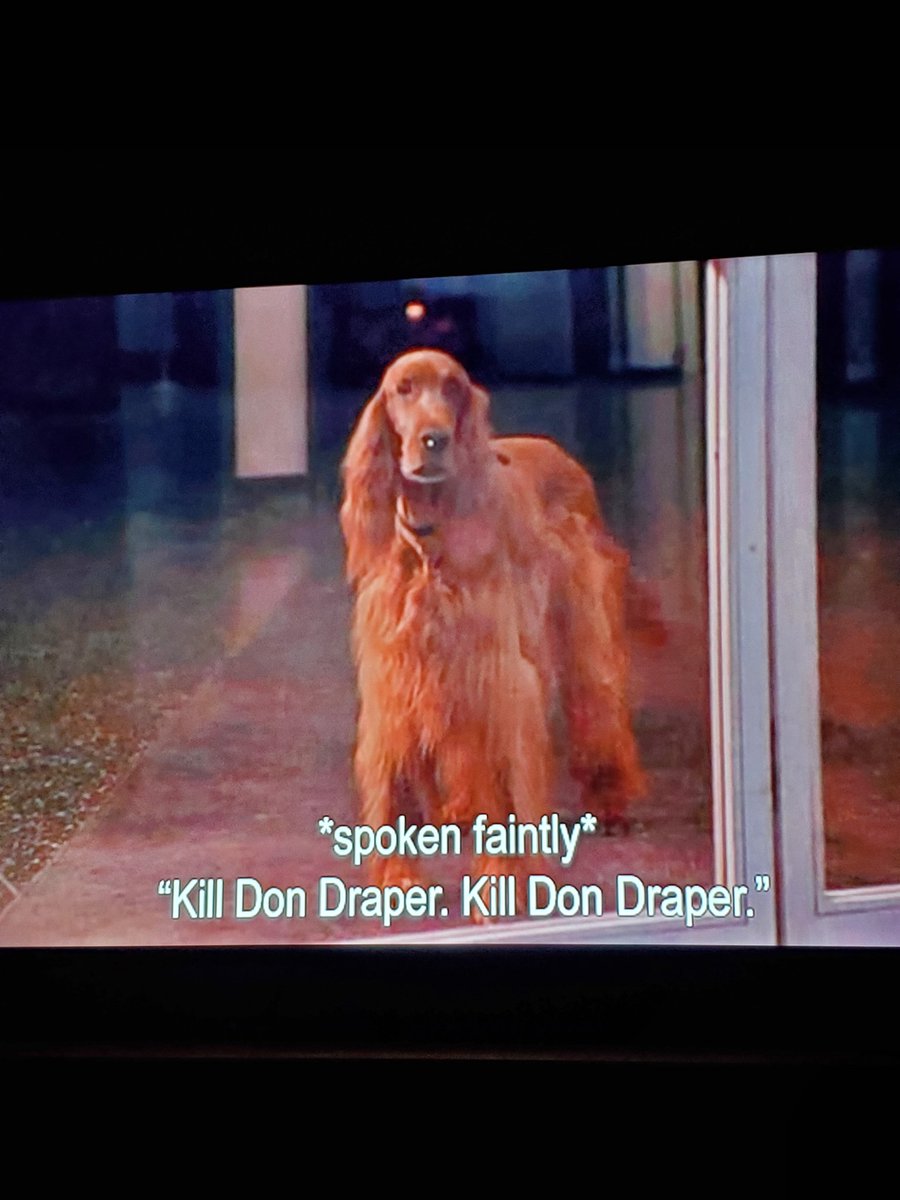 Ben Crew tweet media