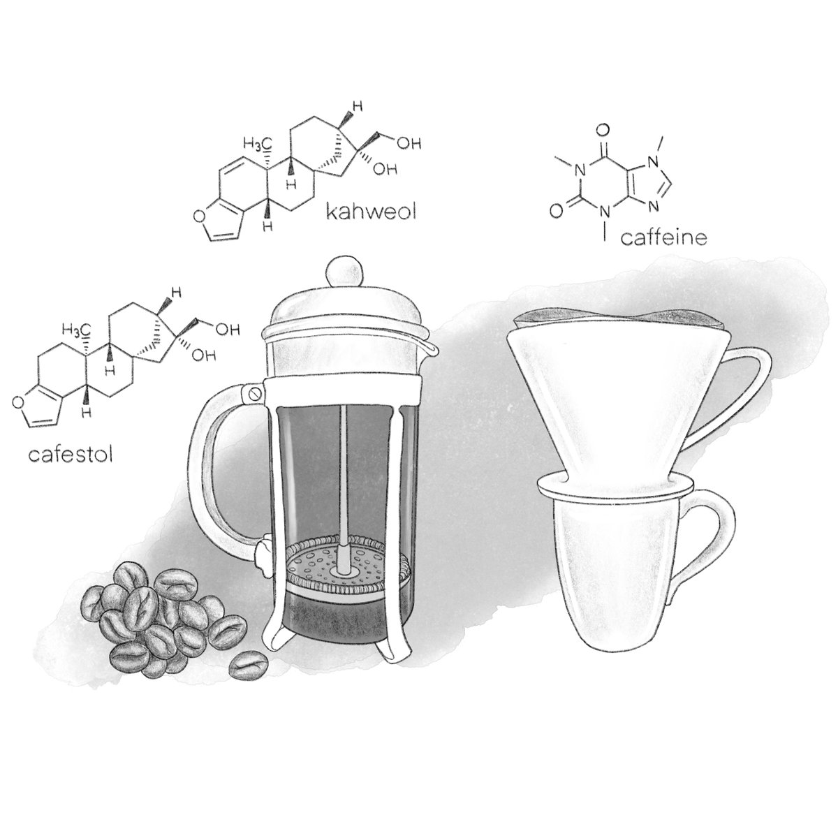 Happy #InternationalCoffeeDay! Do you love coffee? Did you know that its health effects are influenced by how you make it? Want to know why I gave up French Press? The two chemicals to the left (by @jehimes) are the most potent 'bad' LDL cholesterol-inducing in our diets...👇1.