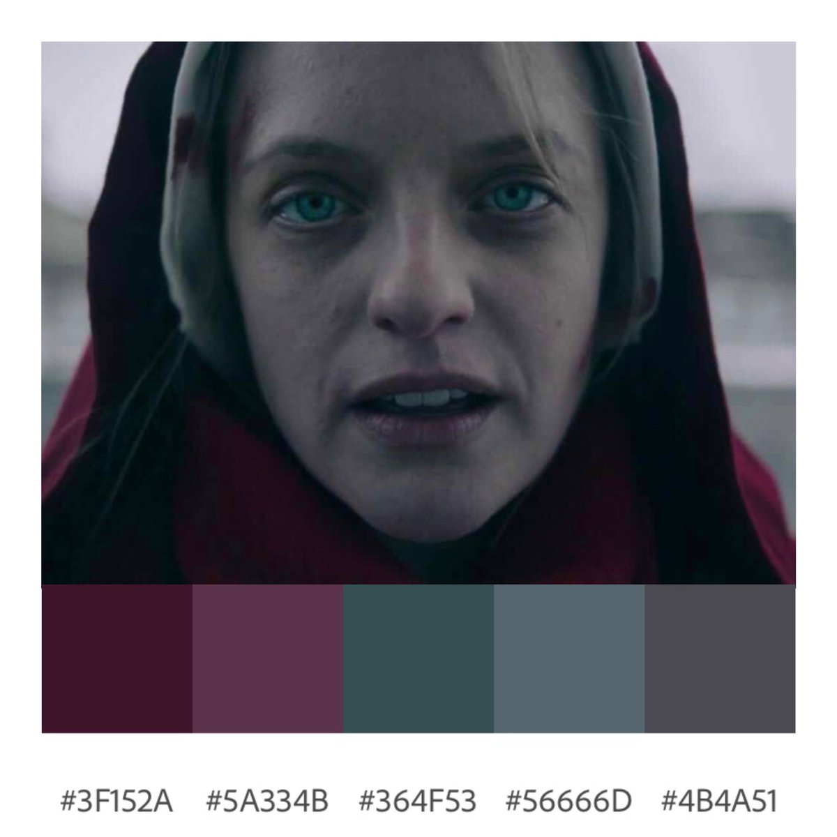 DauntlessGhoul's tweet photo. ✨S1 E6: A Woman's Place - The Handmaid's Tale (Floria Sigismondi, 2017)

#tv #shows #filmmaking #cinema #cinephile #cinematography #shots #aesthetic #streaming #theatre #art #artist #color #colorpalette #palette #photography #thehandmaidstale #elisabethmoss #entertainment https://t.co/FgmaU3dLoq
