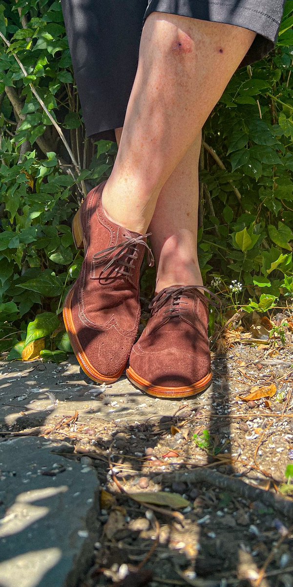 Suede rotation wrap up