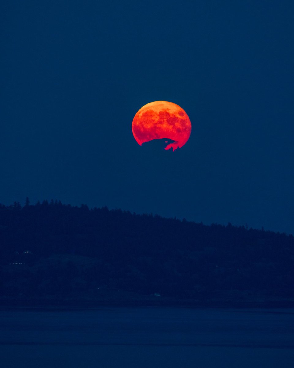tessvanstraaten's tweet photo. Today's weather photo in honour of #TruthAndReconciliationDay is last night's orange #HarvestMoon 🌕with clouds forming what looks like a raven🐦‍⬛at the bottom. I'll have your weekend forecast on @CHEK_News at 5.

📷 Aaron Von Hagen
@CHEK_media #ShareYourWeather #BCwx #YYJ https://t.co/S5MzbVJzYu