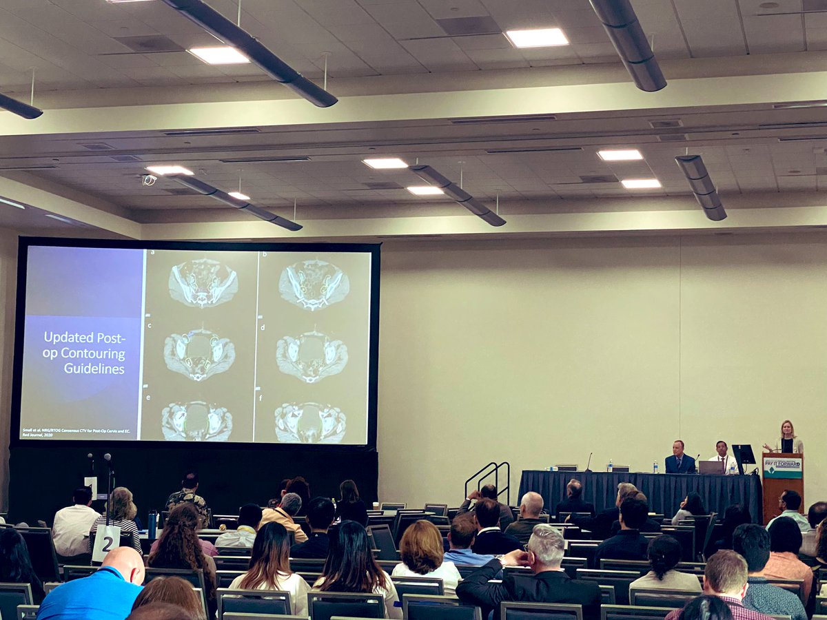 Parisa Shams tweet media