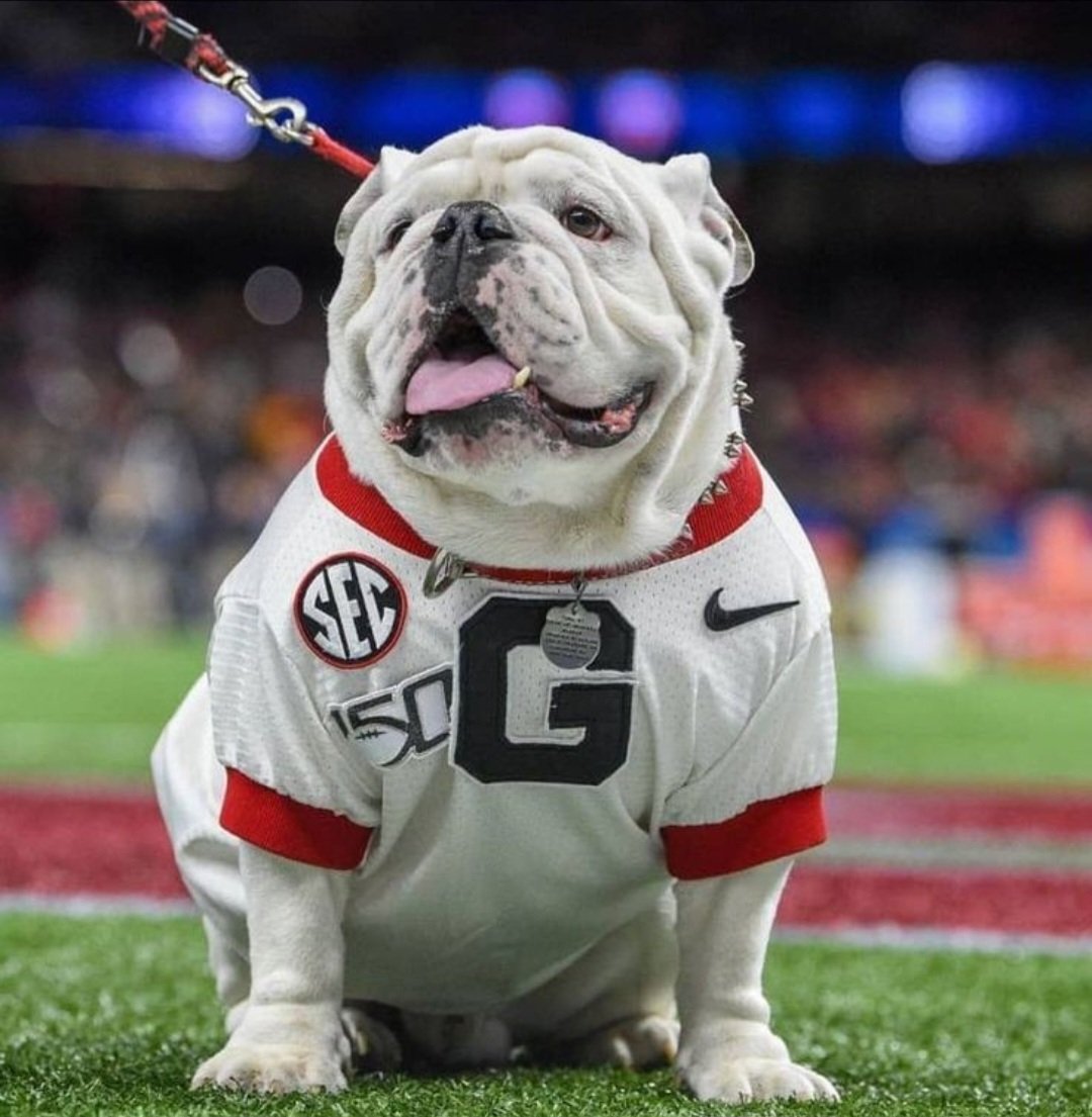 Jill Phillips tweet media