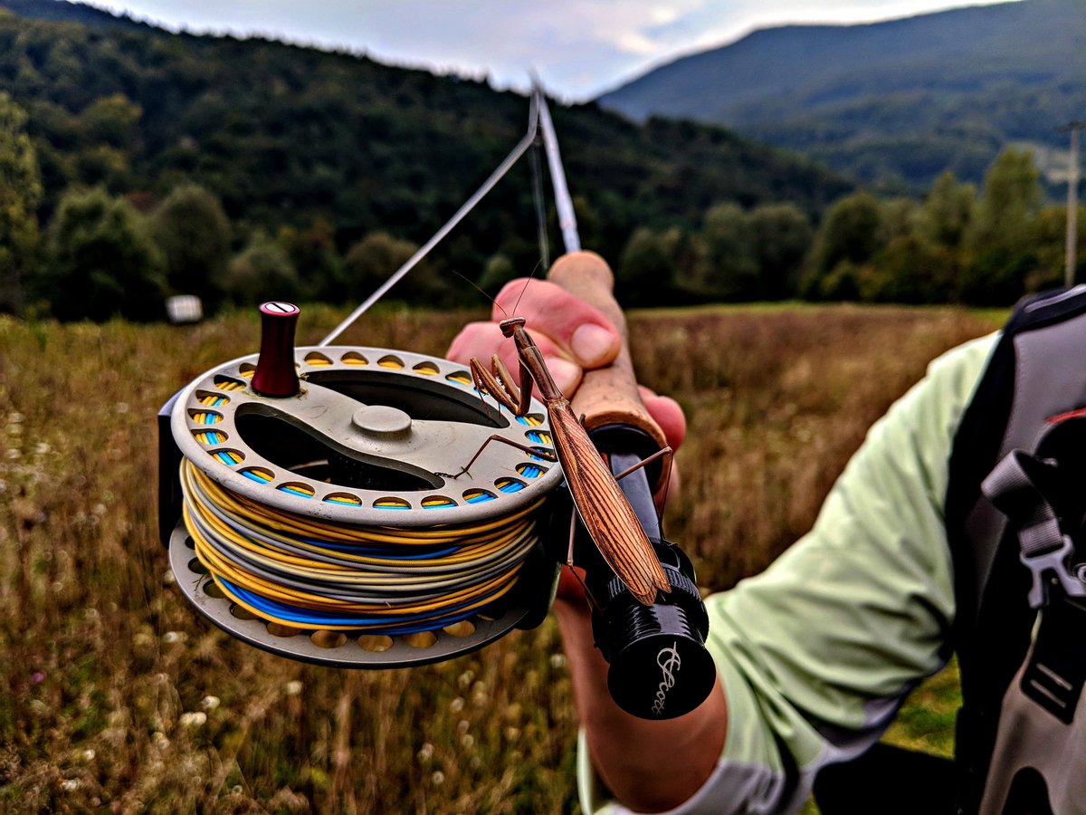 scottflyrod's tweet photo. A fly rod is more than a fishing tool — it's something that takes us to remarkable places to have extraordinary encounters with nature.

Ph: Rasmus Ovesen 
#flyfishing #flyfish #scottflyrods https://t.co/t31Ak1Q60Y