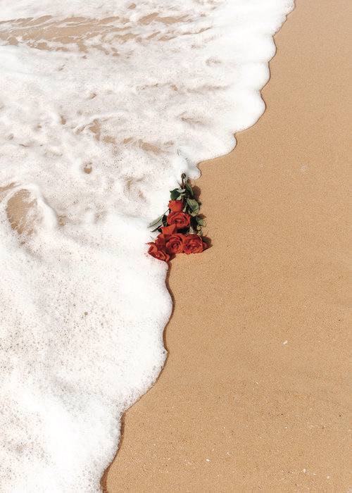 "العائلة  هي الأعمدة الثابتة داخل القلب، 
ففي كل مرةٍ يخذلك أمر تدرك 
أكثر أن العائلة هي كل شيء".
☁️