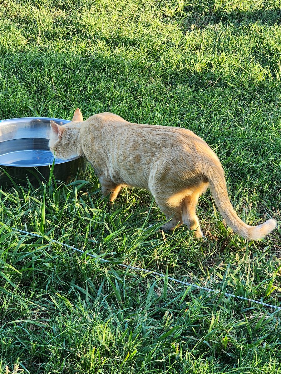 Wrath ... ❤️🔥 ⚖️ 🦉 tweet media