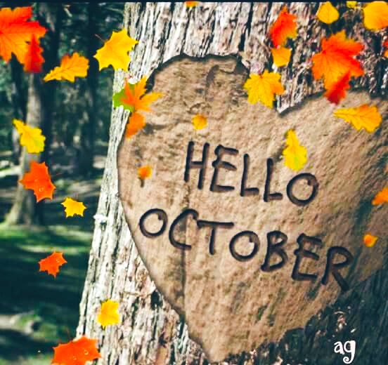 Ruth0519gumtree's tweet photo. 落葉紛飛又一季
#HelloOctober2023 網圖 https://t.co/3oAcXxzg3N