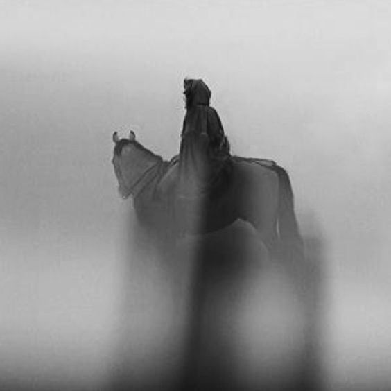 ellcort's tweet photo. Sometimes, it takes a bit longer until someone comes truly back...
NEVER FORGET LEXA https://t.co/PPECmTpgyd