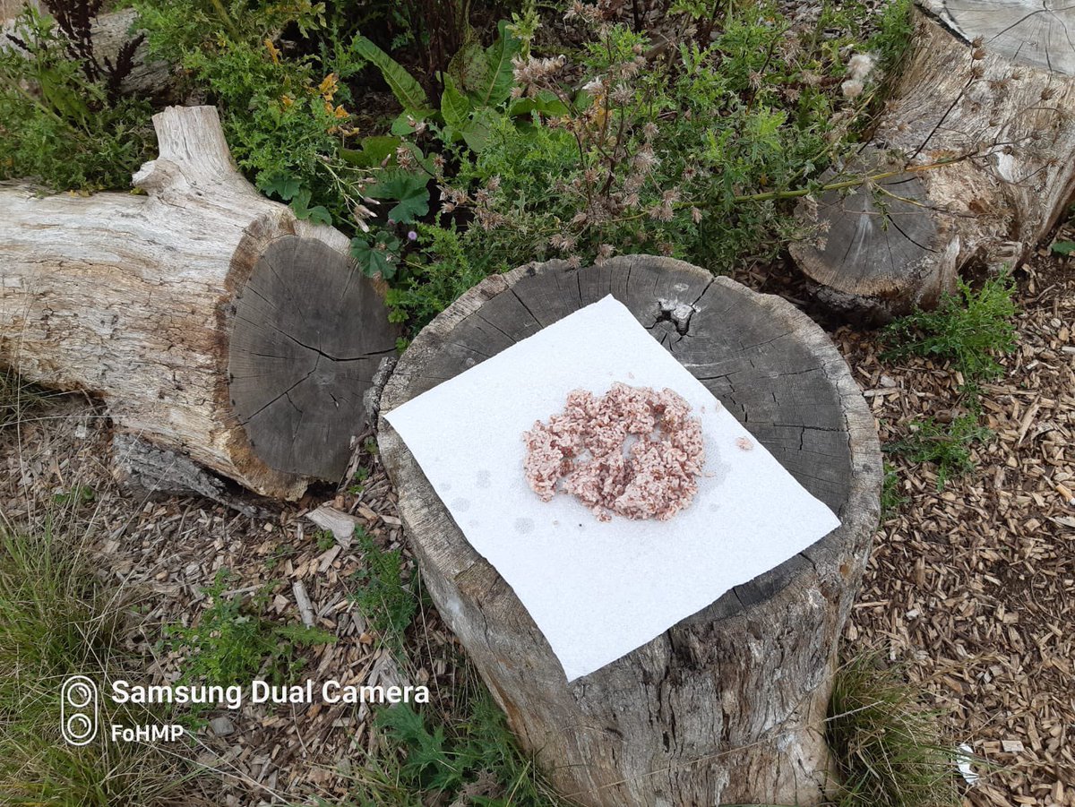 Please do not leave food in the park, whether it be as litter, for the wildlife, or as a religious offering. Food left in the open can attract vermin and can make domestic dogs ill. Please dispose of leftovers in a litter bin or take them home with you.
#harrow #harrowparks