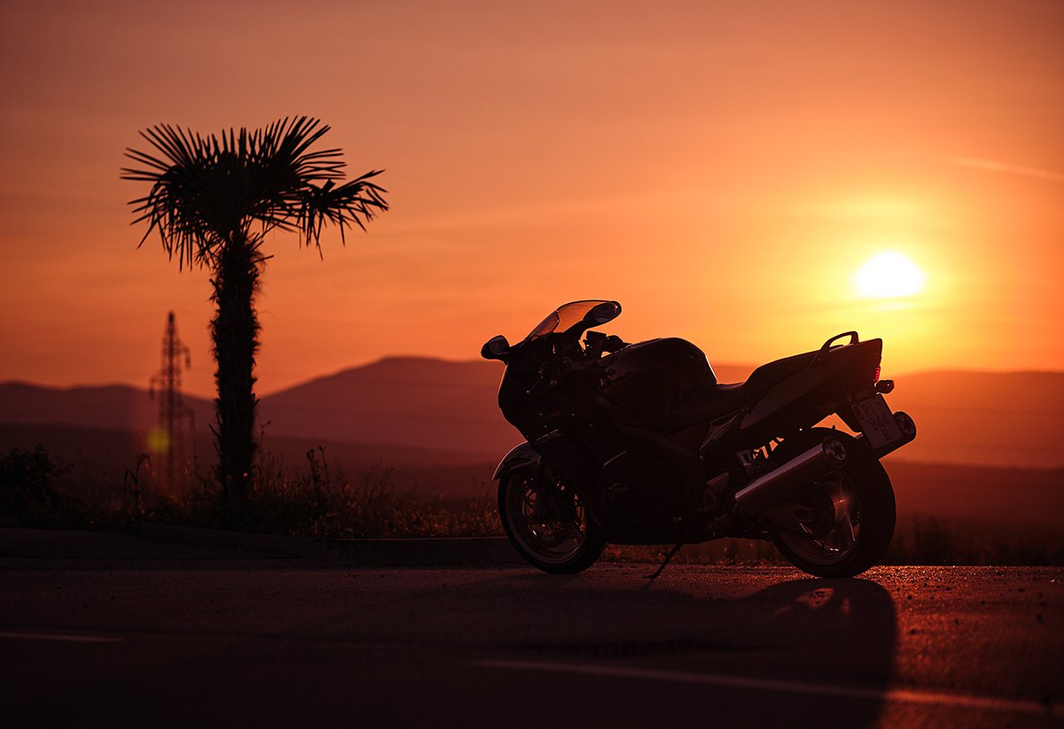 🌴🏍 ☀

#CBR1100XX #MeandHonda #HondaGo #hayabusa #fujifilmxs10 #fulltopmax