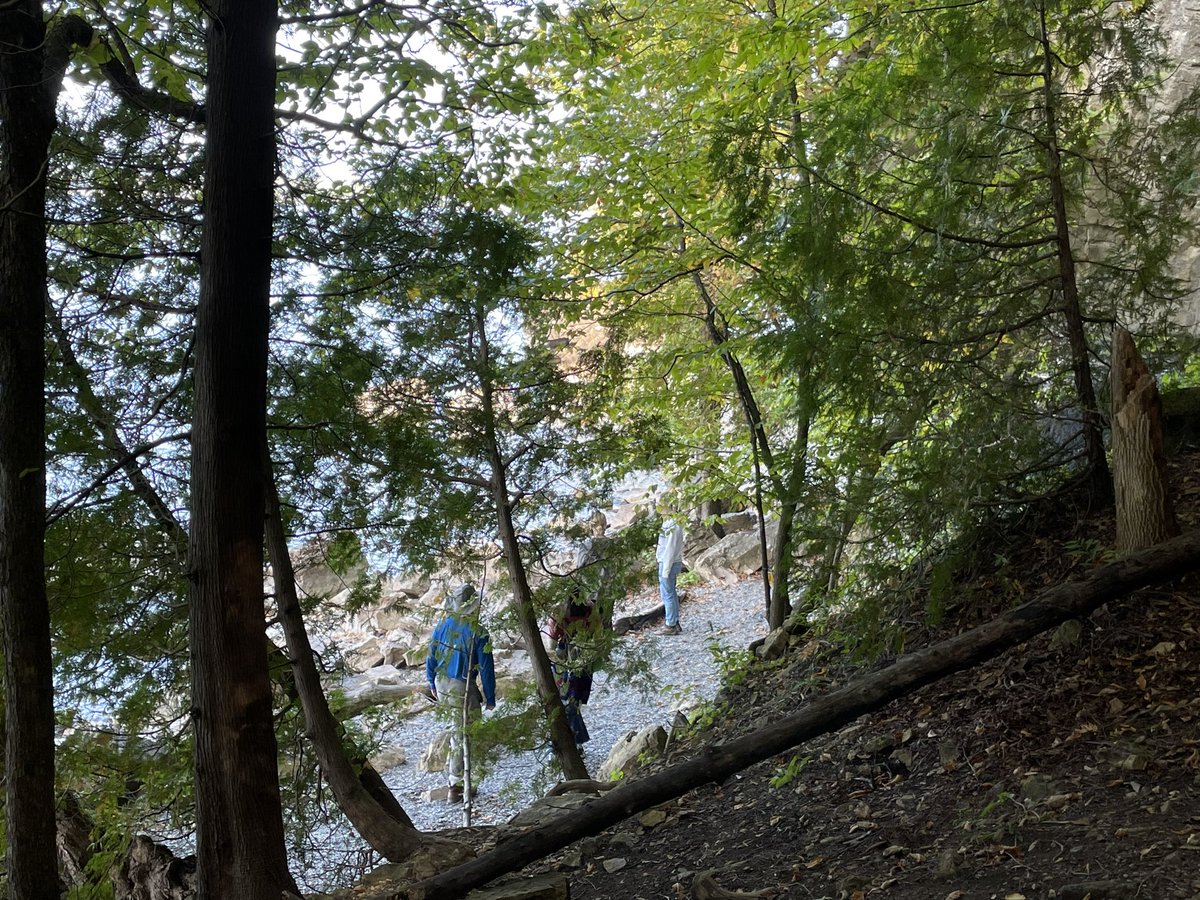 jmharris777's tweet photo. A beautiful day for an @UVMplantbio department hike with faculty, students, friends and family! A perfect fall day! @uvmvermont #VermontFall https://t.co/fKI7M1iKxe