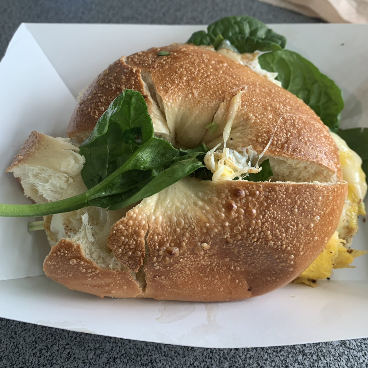 ppyeats's tweet photo. rainy days means more work and more bagels 💪💪💪 https://t.co/t6W0liDVF2