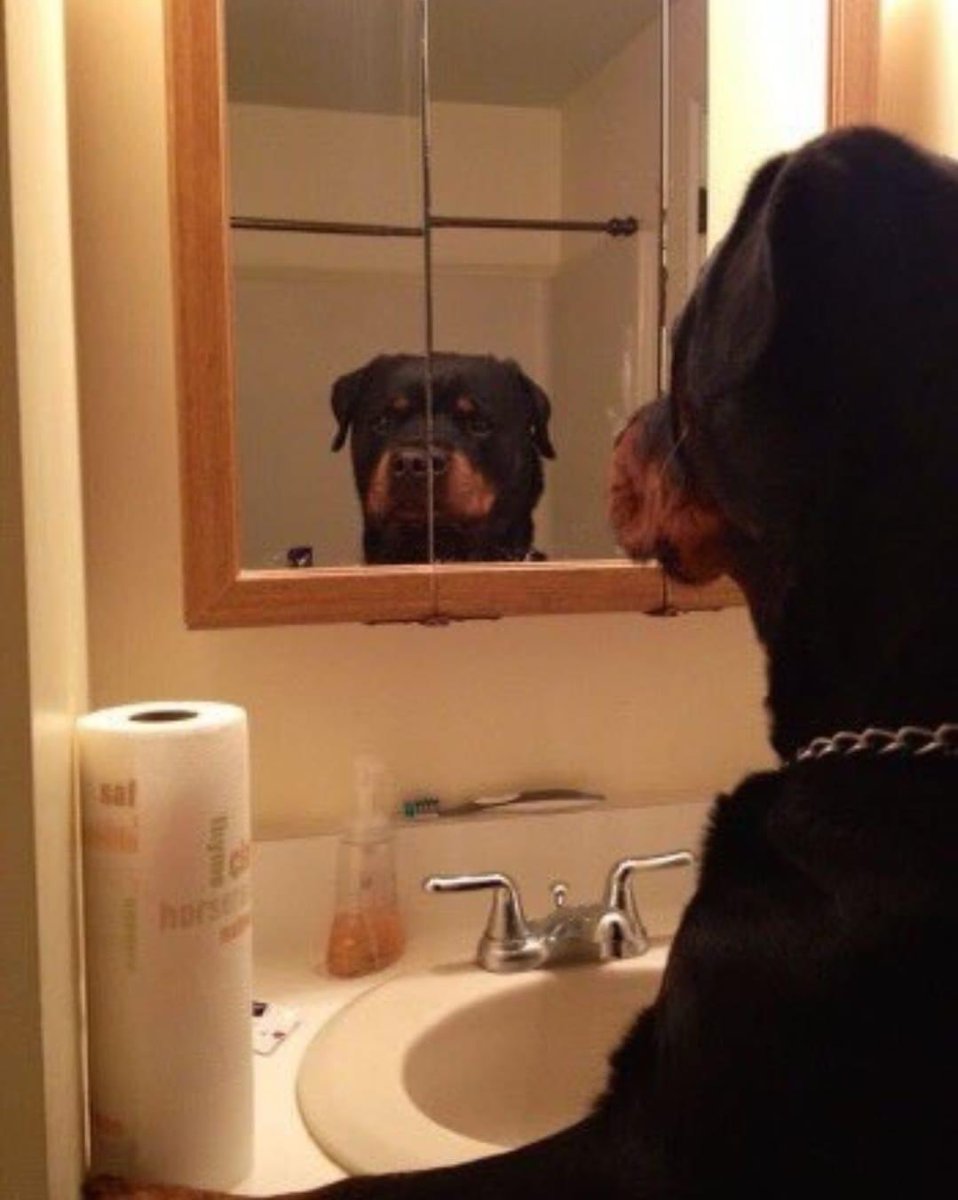 Omarion Miller today:
