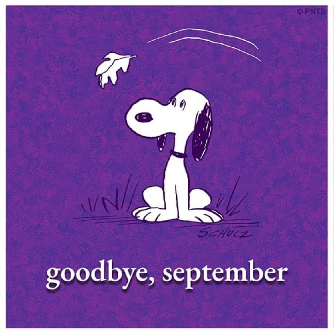 Peanuts_4Fans's tweet photo. Goodbye, September! #Peanuts https://t.co/Yx4sVlU6An