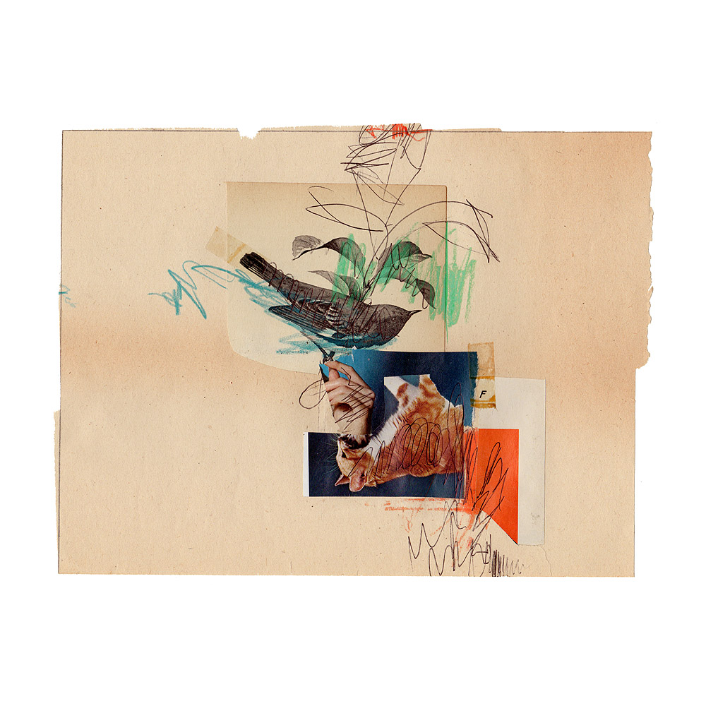 fred free tweet media