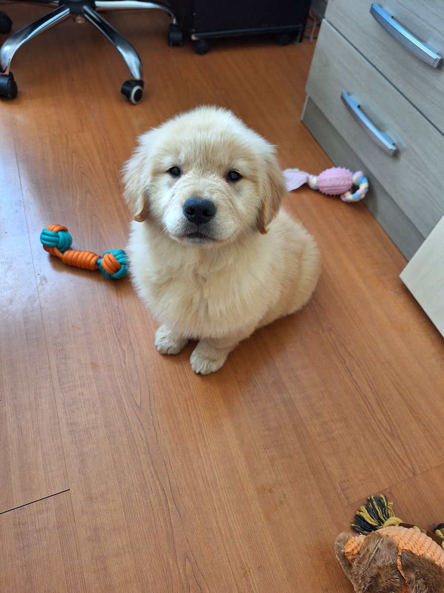 Denle la bienvenida a Kori 🥰🥰💕💕💞💞